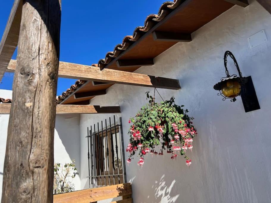 The Zarzamora Canary Little Home Los Realejos Esterno foto
